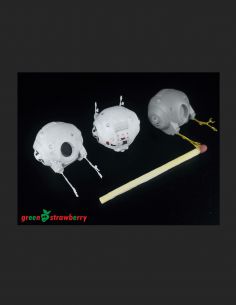 Discovery XD-1 - FruitPACK 2