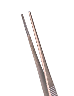 Fine Anatomical Tweezers 13 cm (round tip)