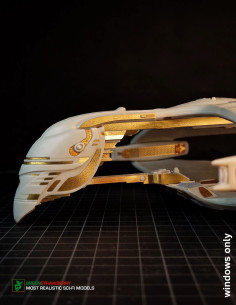 Romulan Warbird - windows 2