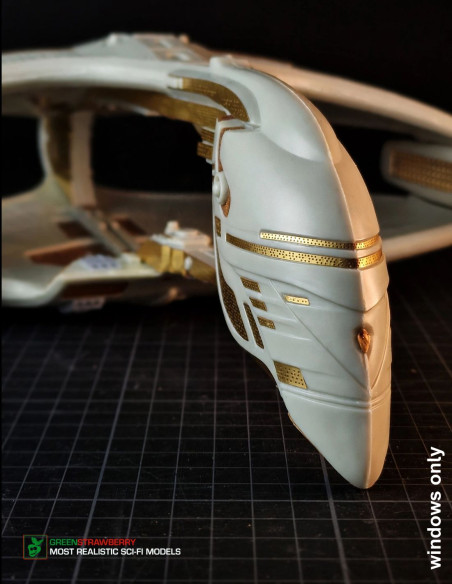 Romulan Warbird - windows