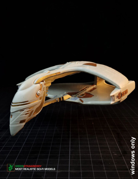 Romulan Warbird - windows