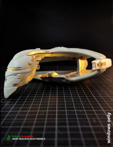 Romulan Warbird - windows