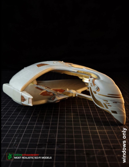 Romulan Warbird - windows
