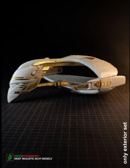 Romulan Warbird