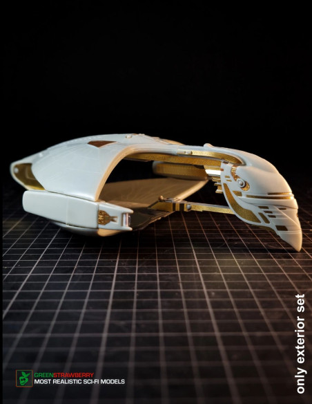 Romulan Warbird