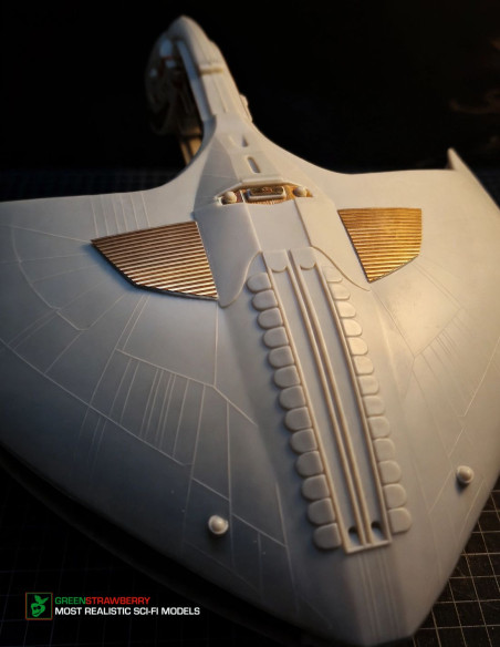 Romulan Warbird