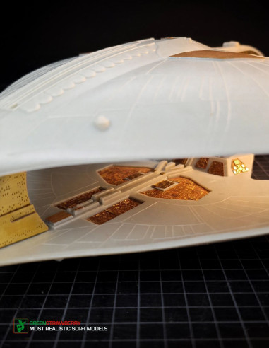 Romulan Warbird FRUITPack