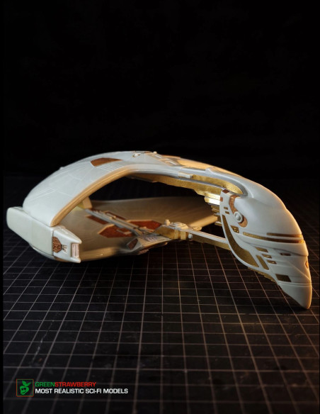Romulan Warbird FRUITPack
