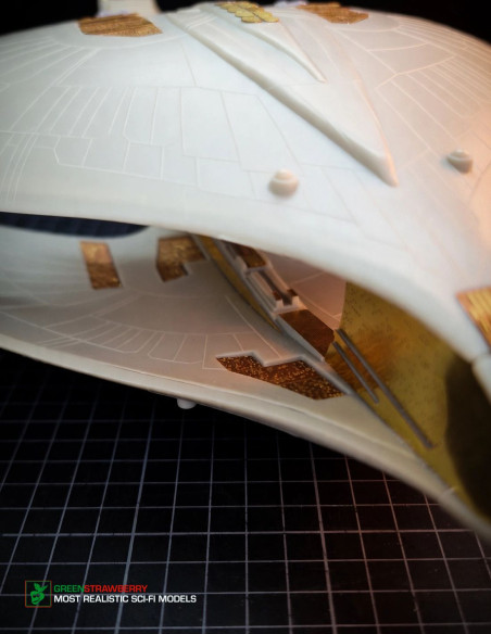 Romulan Warbird FRUITPack
