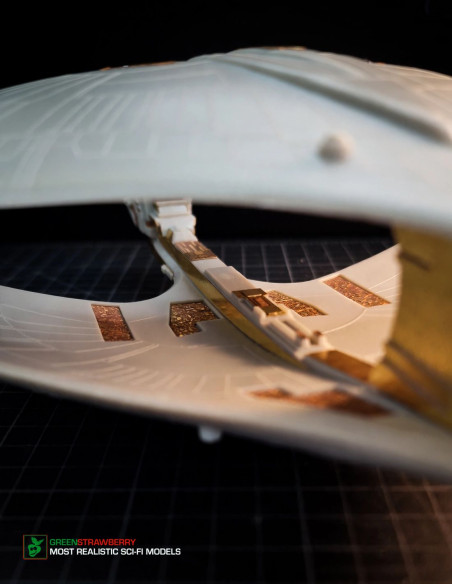 Romulan Warbird FRUITPack