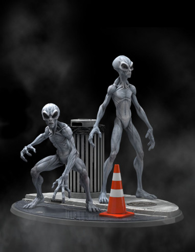 Aliens on Earth – First Contact