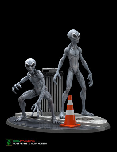 Aliens on Earth – First Contact