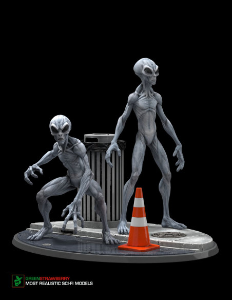 Aliens on Earth – First Contact