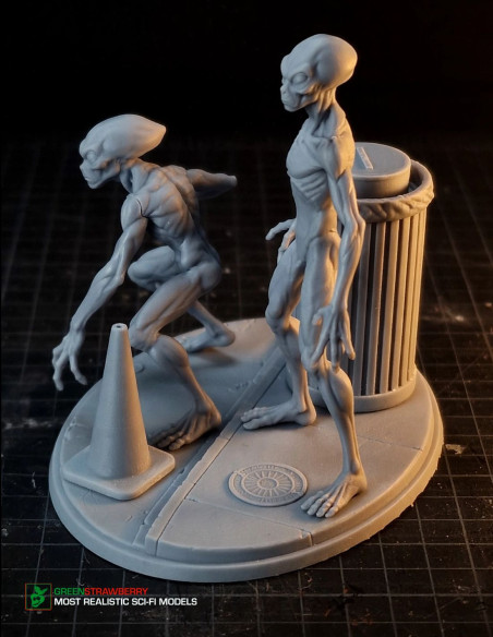 Aliens on Earth – First Contact