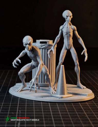 Aliens on Earth – First Contact