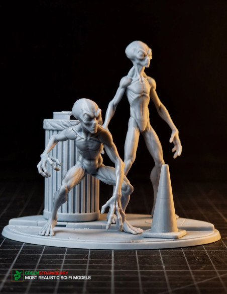 Aliens on Earth – First Contact