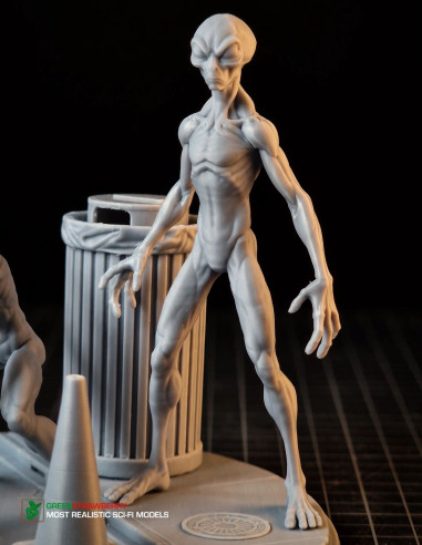 Aliens on Earth – First Contact