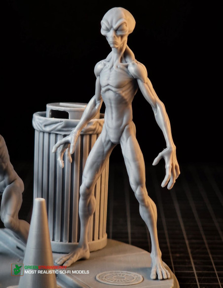 Aliens on Earth – First Contact