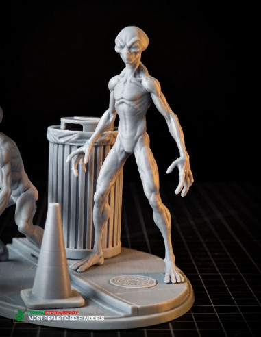 Aliens on Earth – First Contact