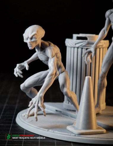Aliens on Earth – First Contact