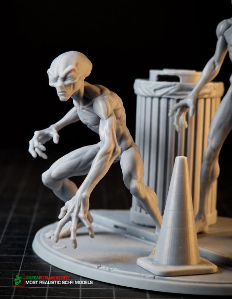 Aliens on Earth – First Contact