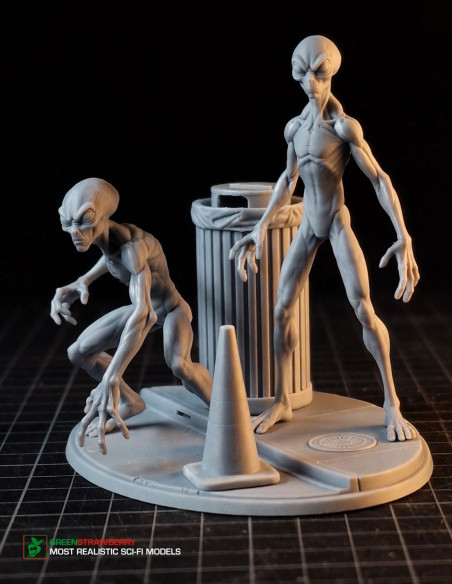 Aliens on Earth – First Contact