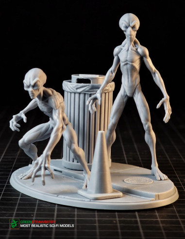 Aliens on Earth – First Contact