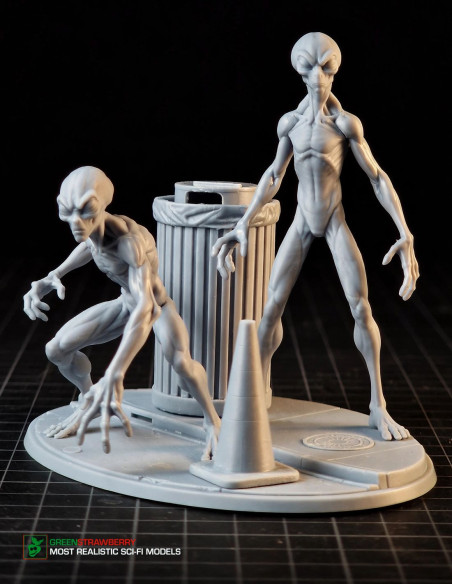 Aliens on Earth – First Contact