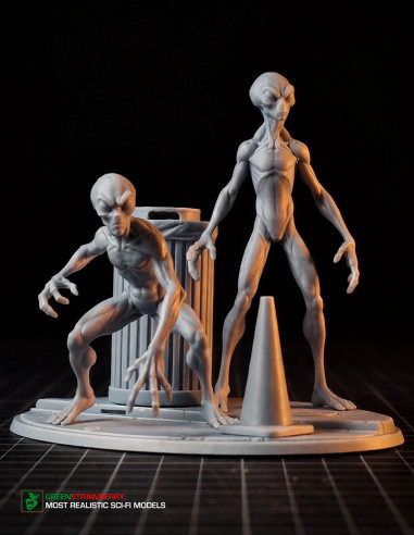 Aliens on Earth – First Contact