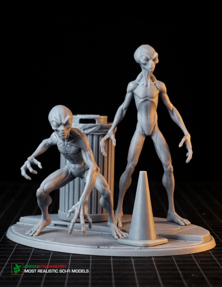Aliens on Earth – First Contact