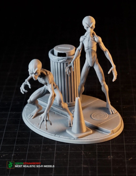 Aliens on Earth – First Contact
