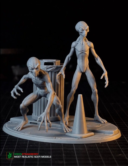Aliens on Earth – First Contact