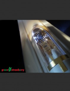 Viper Mk.VII - cockpit & exterior 2